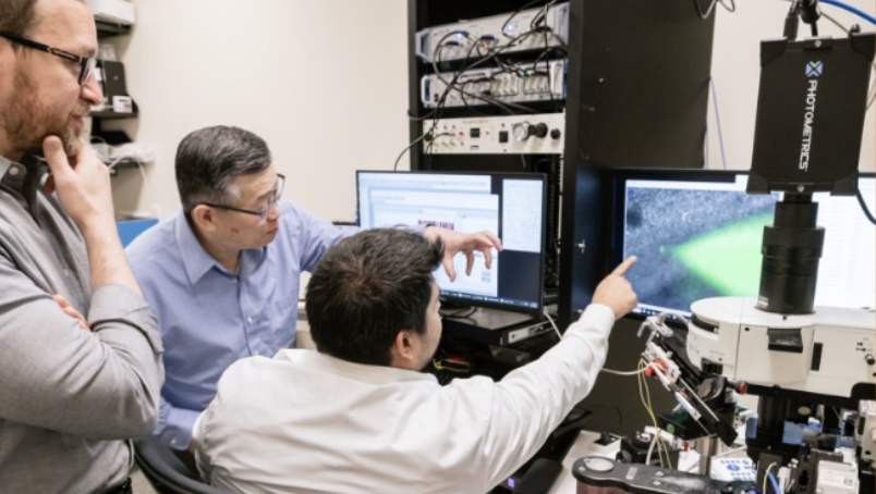 How an Alzheimer’s Risk Gene Disrupts Brain Circuits Long Before Memory Loss
